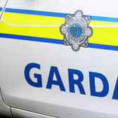 The Garda badge logo