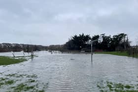 A flooded park