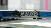 Elderly woman in her 70s dies days after late-night crash as garda&iacute; appeal for witnesses