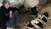 Ewe won't believe it! Carndonagh sheep delivers quadruplet lambs in spring surprise