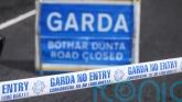 Pensioner killed in Limerick car crash