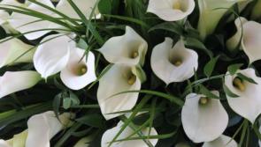 The Catholic Church's teaching on cremation has not changed