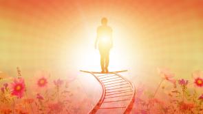 Where to go if you need support after the death of a loved one
