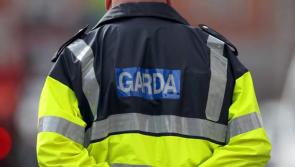 National: Woman shot in firearm and criminal damage incidents in Dublin 