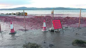 Call for long term plan needed to tackle Lisfannon beach access issues