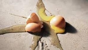 Garda appeal after elderly person's house is pelted with eggs