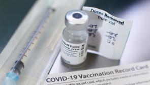 Latest: Booster vaccines now available for 16-29 year-olds 