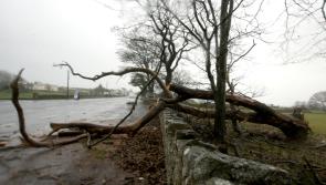 Wind warning for Donegal upgraded to orange

