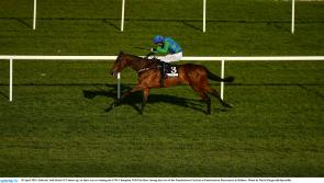 The Leopardstown accumulator that could win you a small fortune today 