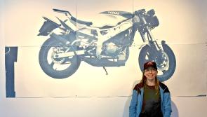 Artist honours brother killed in motorcycle accident