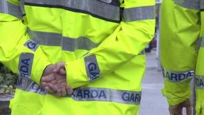 Gardaí renew appeal for witnesses as man found in Grand Canal identified