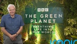 David Attenborough's new show will aim to change public understanding of ecosystems 