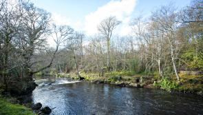 Powerful artworks to energise Buncrana's Swan Park