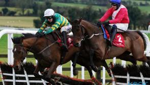 Slip of the tongue earns dramatic victory at Punchestown