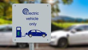 Sales of new electric cars double despite overall market decline