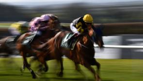 RACING: The horses worth a bet on Saturday's card at Navan