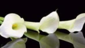 Deaths in Donegal - Saturday morning, March 5