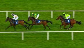 RACING: Tips and analysis for Thursday&rsquo;s card at Limerick