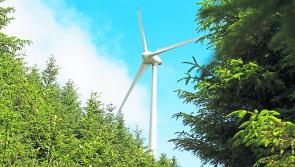 Let’s harness our natural assets to beat the climate emergency