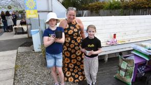 Gallery:  Mullan Hope Centre Sunflower Festival launch in Moville