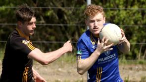 All in one place: All the weekend's All-County Football and Hurling League reports