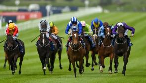 RACING: The horse worth a bet in this weekend's Epsom Derby 