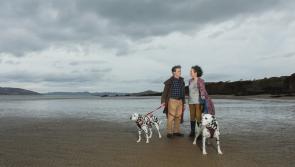 Life of Inishowen artist to be celebrated at Dunree