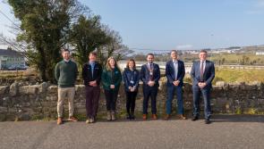 Council secures funding to tackle Japanese knotweed