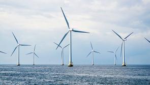  Fishing industry calls for ‘emergency plan’ for proposed offshore wind farm

