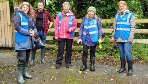 Calls for Carndonagh community to get active against invasive species