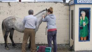 Disappear Here Film Club  movie 'Town of Strangers' to feature in Clonmany Festival