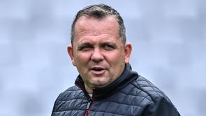 Davy Fitzgerald departs camogie coaching role