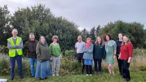 Eco-friendly solution seeks to eliminate knotweed safely - Inishowen environmental group says