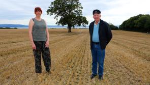 Gallery: Redcastle's Field of Dreams open day