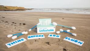 Think Before You Flush campaign wants Inishowen schoolchildren for public awareness campaign