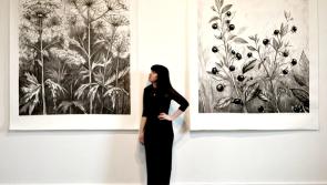 New solo exhibition ‘The Seed That Stops The Heart’ opens at Artlink