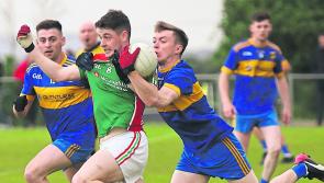 ‘In dual clubs there can be friction between football and hurling - not here’
