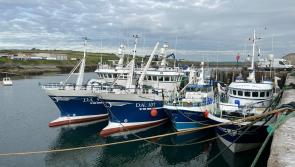 Donegal seafood sector "hopeful" on fuel aid