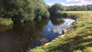 Improving Water Quality in Ireland | Teagasc on how Irish agriculture is meeting the challenges