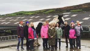 Greencastle Community Centre scoops volunteer award