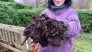 Life hacks to reduce nutrient and food waste this Christmas