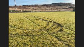 "Thugs" damage football pitch