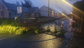 Fallen trees, flooded roads as Donegal feels brunt of weather
