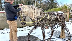 Inspiring artworks showcased in new ‘Art in the Park II’ exhibition