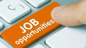 JOB ALERT: Hegarty's Home Interiors hiring Accounts Assistant