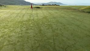 Buncrana Golf Club call on vandals who 'caused untold damage' to step forward