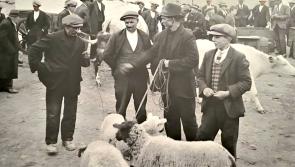 Carn Men’s Shed to launch exhibition on  history of farming in Inishowen  