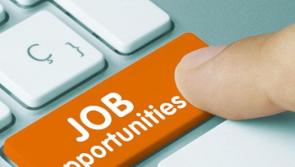 JOB ALERT: Store Manager required for Maple Group in Moville