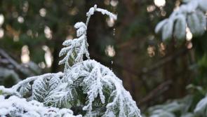 Weather outlook - snow and ice set to return after wet and blustery start