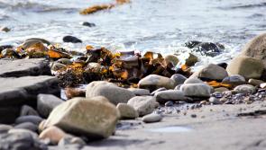 Photo competition invites you to show off your favourite corner of Inishowen